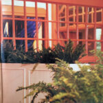 Anita Meyer-4