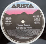 Taylor Dayne-2