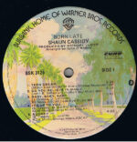 Shaun Cassidy-3