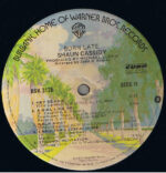 Shaun Cassidy-4