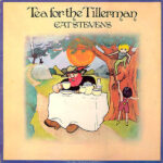 Cat Stevens-0