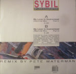 Sybil-1
