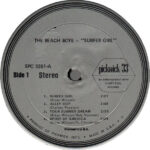 The Beach Boys-2