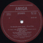 Luis Cilia-3