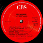 Art Garfunkel-2