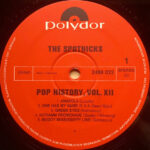 The Spotnicks-4