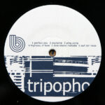 Tripophon-3