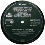 Fine Young Cannibals-3