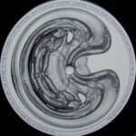 DJ Ed-1