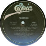 Fortnox (2)-2