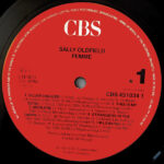 Sally Oldfield-2