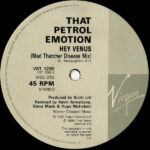 That Petrol Emotion-2