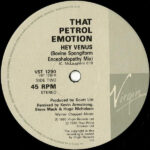 That Petrol Emotion-3