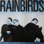 Rainbirds-0