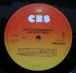 Art Garfunkel-2