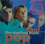 The Darling Buds-0