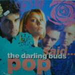 The Darling Buds-0