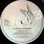 The Incredible String Band-2