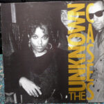 The Unknown Cases-0