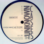 The Unknown Cases-2