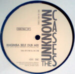 The Unknown Cases-3