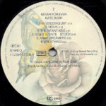 Kate Bush-3