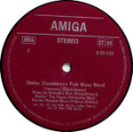 Stefan Diestelmann Folk Blues Band-3