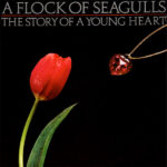 A Flock Of Seagulls-0