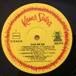 Sha Na Na-2