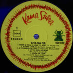 Sha Na Na-3