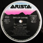 Taylor Dayne-3