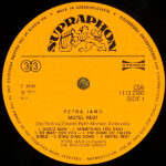 Petra Janů-2