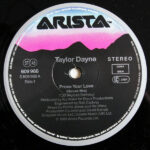 Taylor Dayne-2
