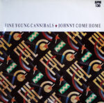 Fine Young Cannibals-0