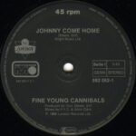 Fine Young Cannibals-2