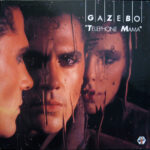 Gazebo-0