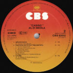 Al Di Meola-3