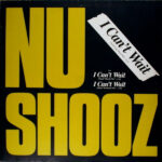 Nu Shooz-0