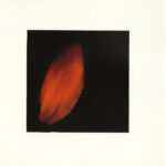 Peter Gabriel-3