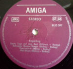 Engerling-2