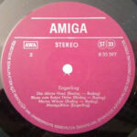 Engerling-3
