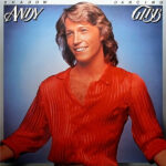 Andy Gibb-0