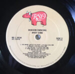 Andy Gibb-3
