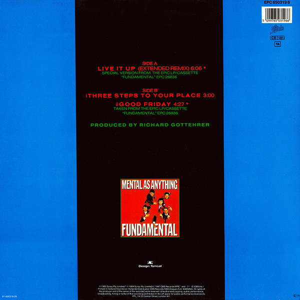 Mental As Anything-1