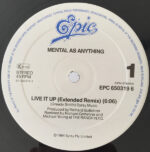 Mental As Anything-2