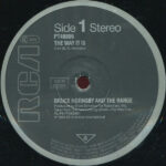 Bruce Hornsby And The Range-2