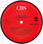 Nina Hagen Band-3