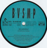 B.V.S.M.P.-2