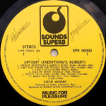 Stevie Wonder-2