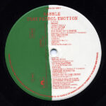 That Petrol Emotion-3